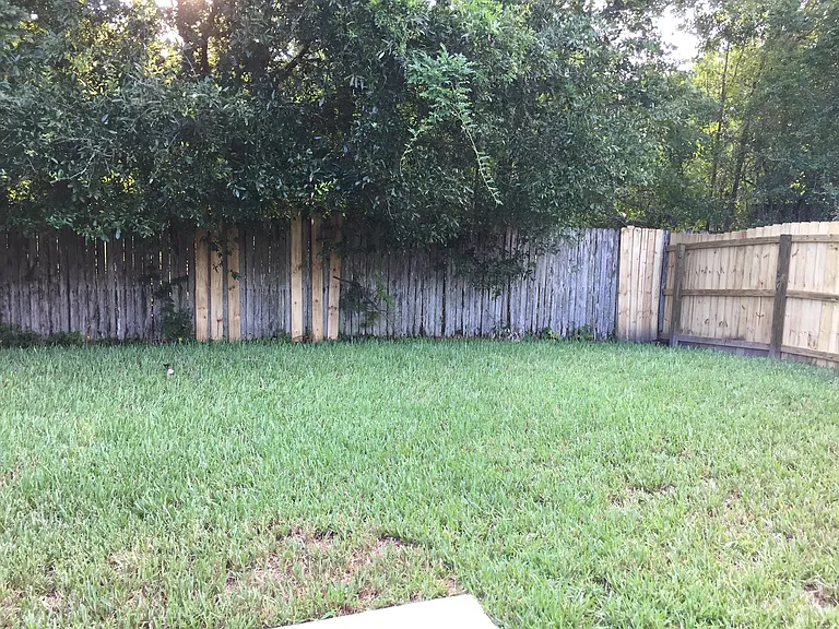 Backyard and Patio