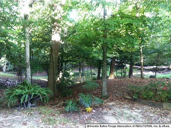 3rd image of 5828 Bristle Cone Ct