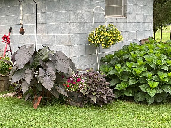 56th image of this home