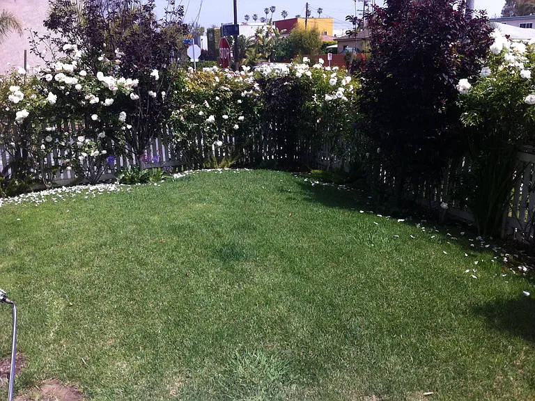 427 Sunset Ave — Photo 6