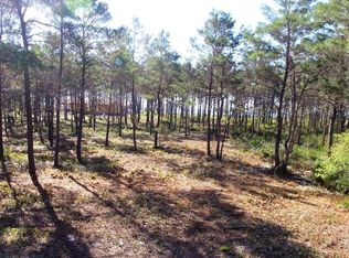 130 Shell Bay Ct, Carrabelle, FL 32322