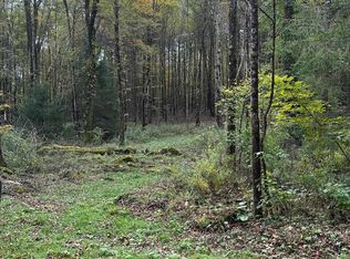 Upper Woods Rd, Pleasant Mount, PA 18453