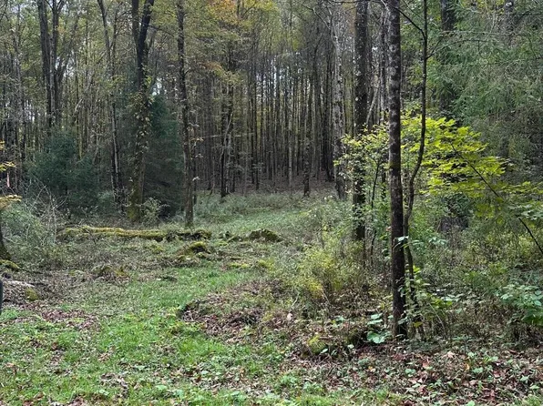 Upper Woods Rd, Pleasant Mount, PA 18453