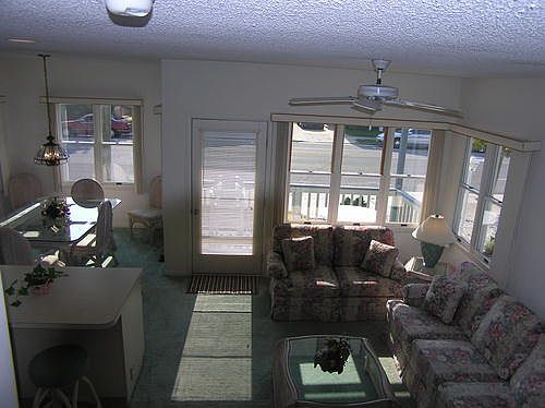 Additional Picture