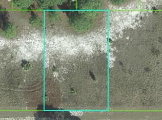 324 Sweetheart Ave, Lake Placid, FL 33852