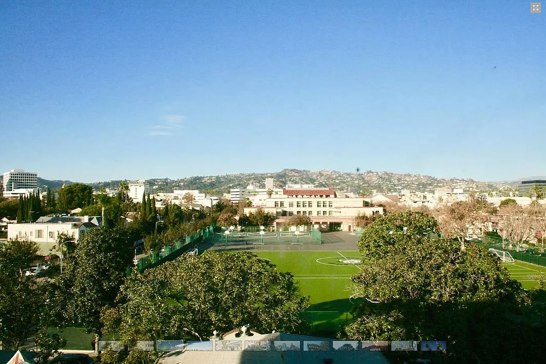 Alon Elm — Photo 2