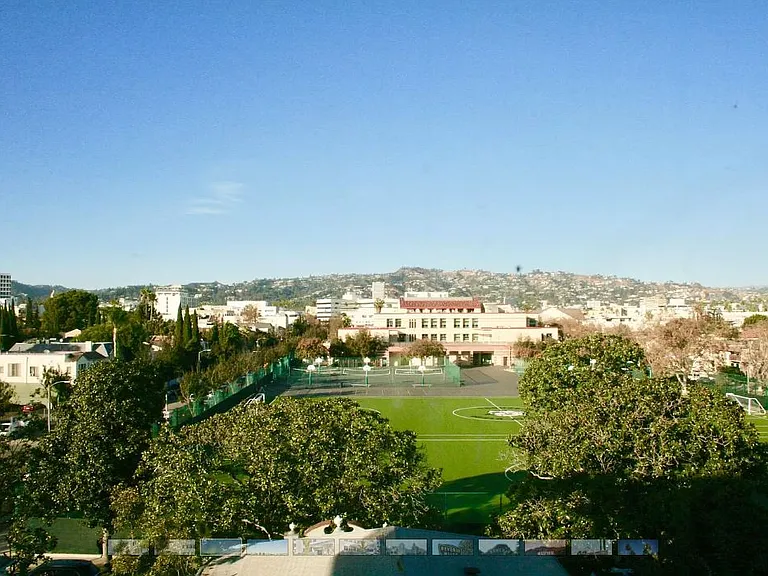 Alon Elm — Photo 2