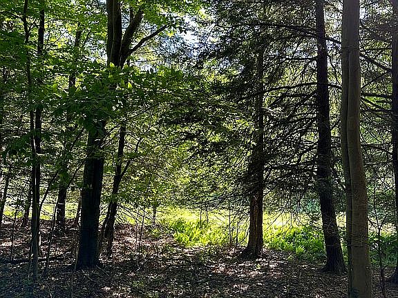 Woods approaching #17 