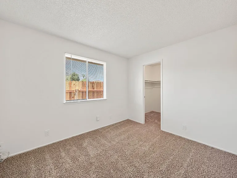 3800 Lily St — Photo 7