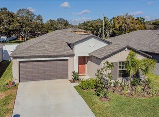 3622 Cat Mint St, Tampa, FL 33619
