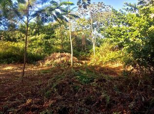 15-1114 Railroad Ave LOT 363, Keaau, HI 96749