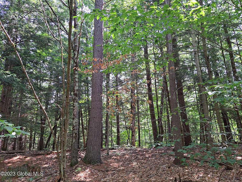 5th image of L26 State Route 28