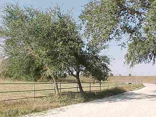 1st image of 31-ACRES CR 348
