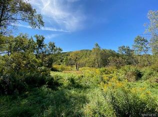 5545 Nichols Run Rd, Limestone, NY 14753