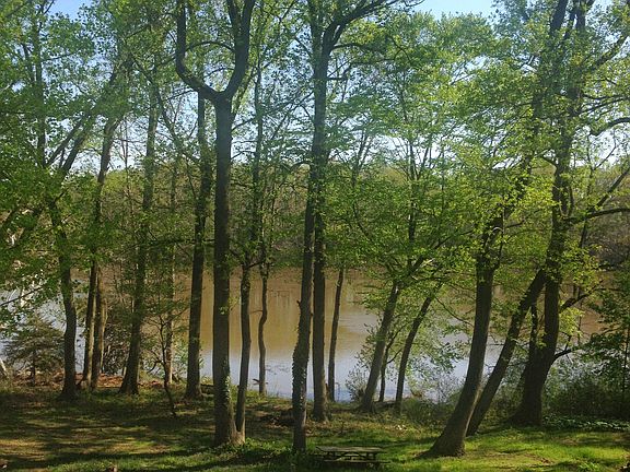 Back yard view from deck.