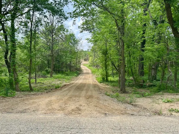 Bair Lake St, Jones, MI 49061