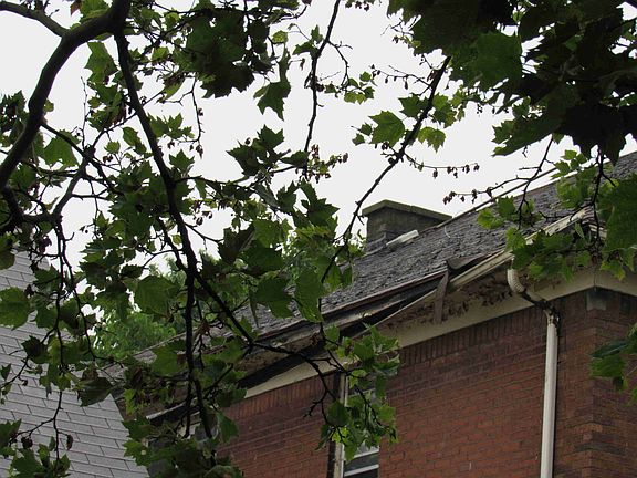 12703 Ward
