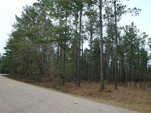 5th image of Wilton Seal Road