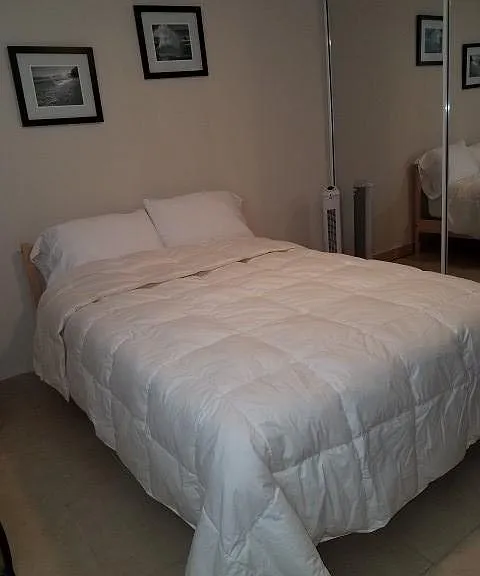 844 Caminos Verdes — Photo 10