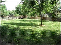 HUGE, TREED, FENCED