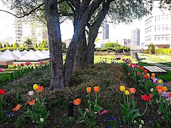 7002 Blvd East image 34 of 42