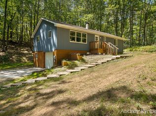 22989 Hayes Rd, Big Rapids, MI 49307