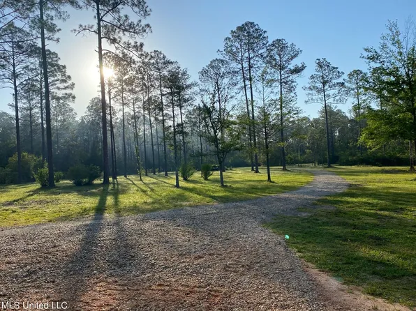 491 Jess Williams Rd, Poplarville, MS 39470