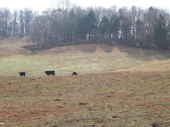 3055 Finney Rd, Glasgow, KY 42141