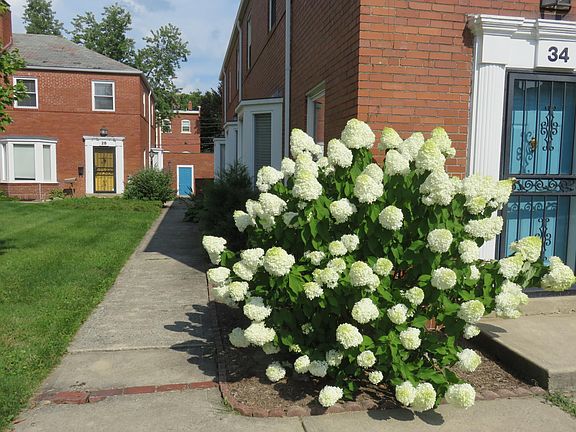 3rd image of 28 Sherman Ave