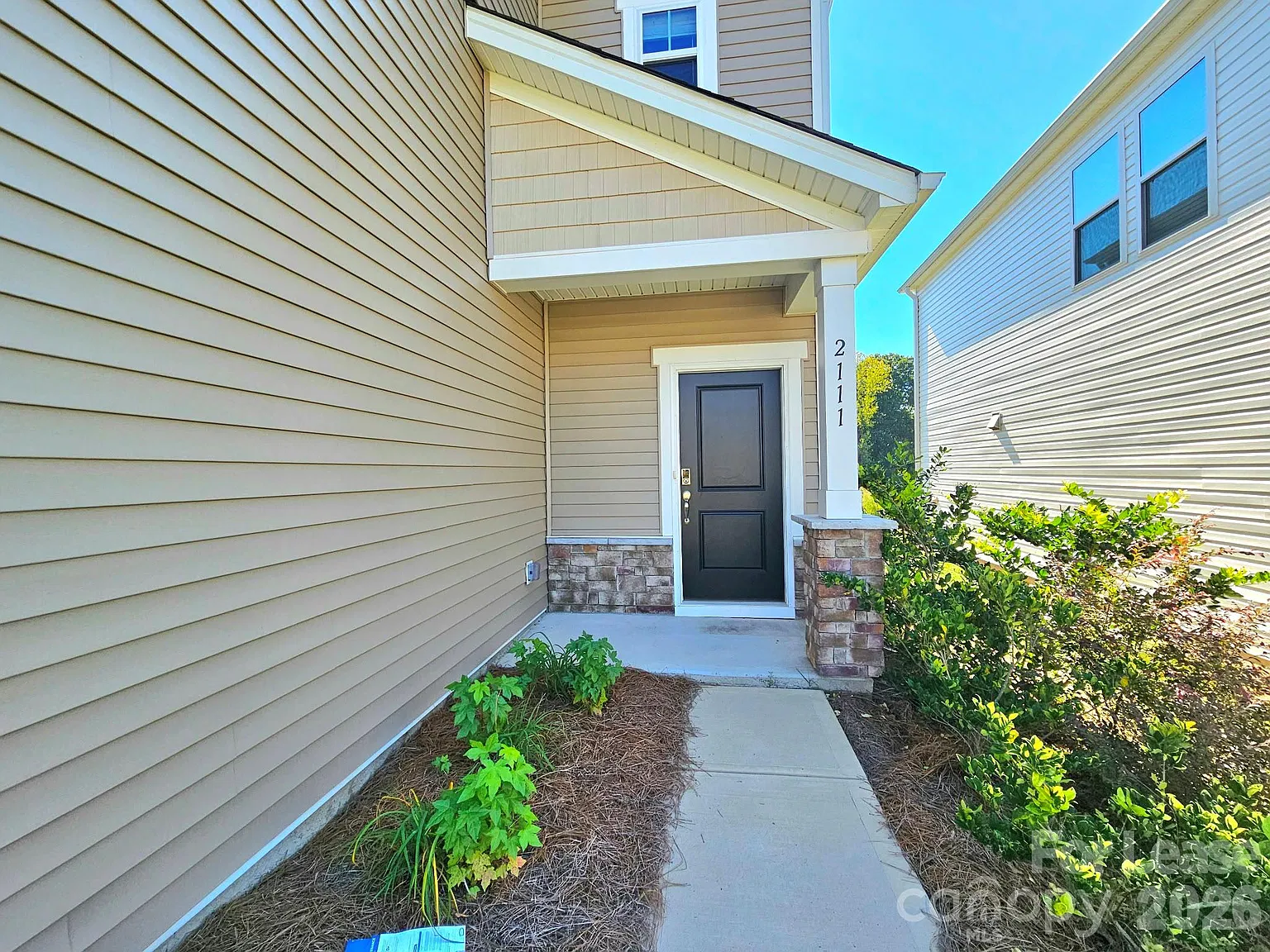 Belterra — Photo 2