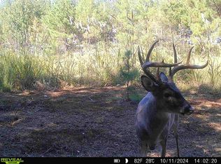 309 Miller Rd, Prentiss, MS 39474