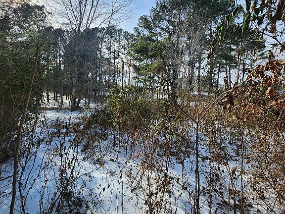 5th image of 9546 Rapidan Dr