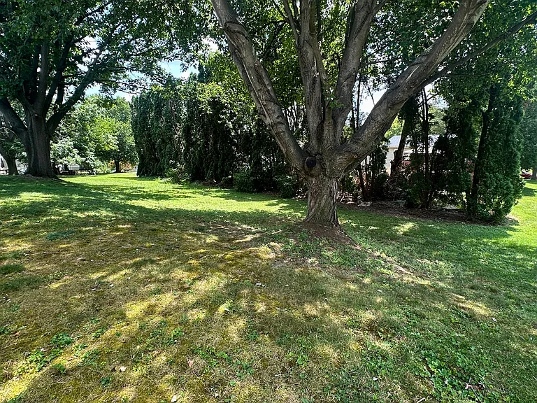 4 Pickford Dr — Photo 33