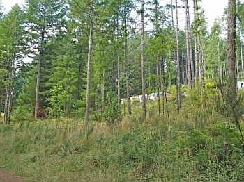 2nd image of 36749 Boiler Creek Rd
