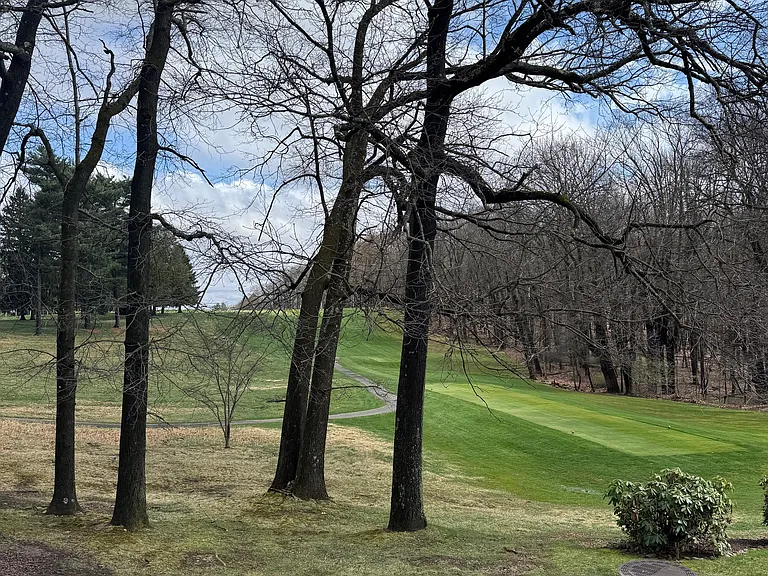 View from rear porch