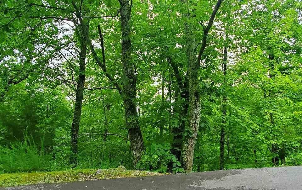 1st image of 6 Majestic View Way Lot 6