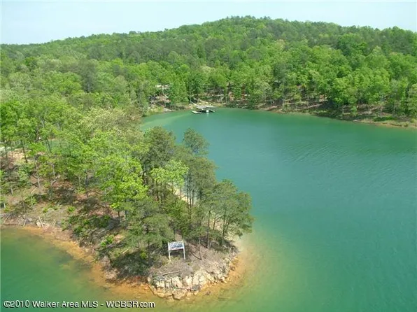 LOT 12 Lot Kingfisher Ln #12, Arley, AL 35541