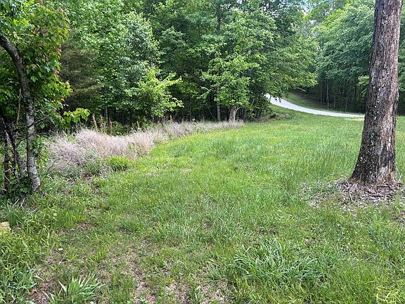 3rd image of Saddle Ln