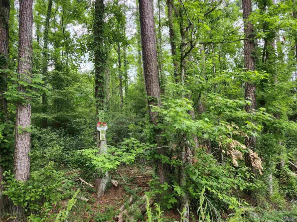 LOT 83 Baker Dr Lot 83, Denham Springs, LA 70726