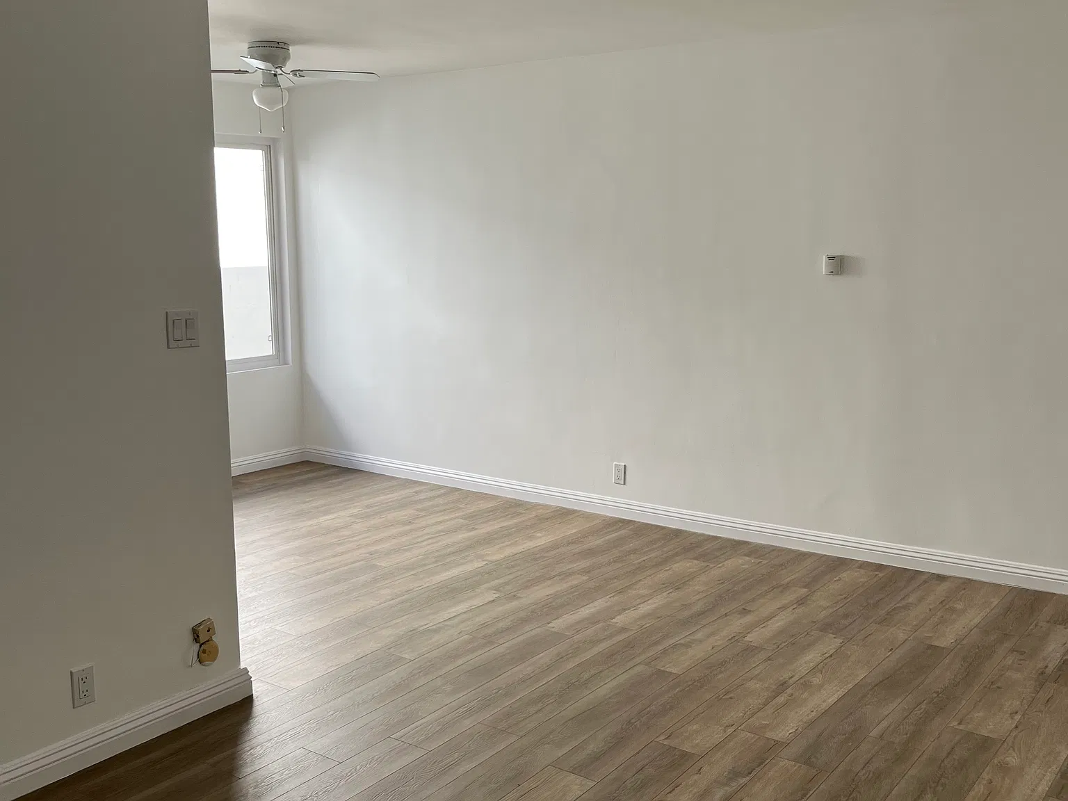 1 bed, 800 sqft, $2,800 — Photo 3