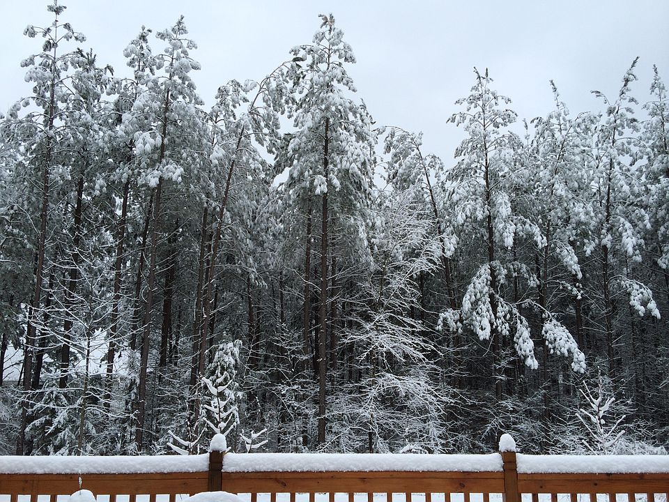 2nd image of 177 Crooked Branch Way