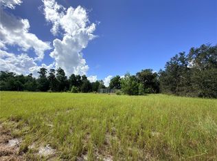 41938 Pine Valley Dr, Paisley, FL 32767