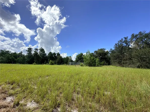 41938 PINE VALLEY DRIVE, PAISLEY, FL 32767