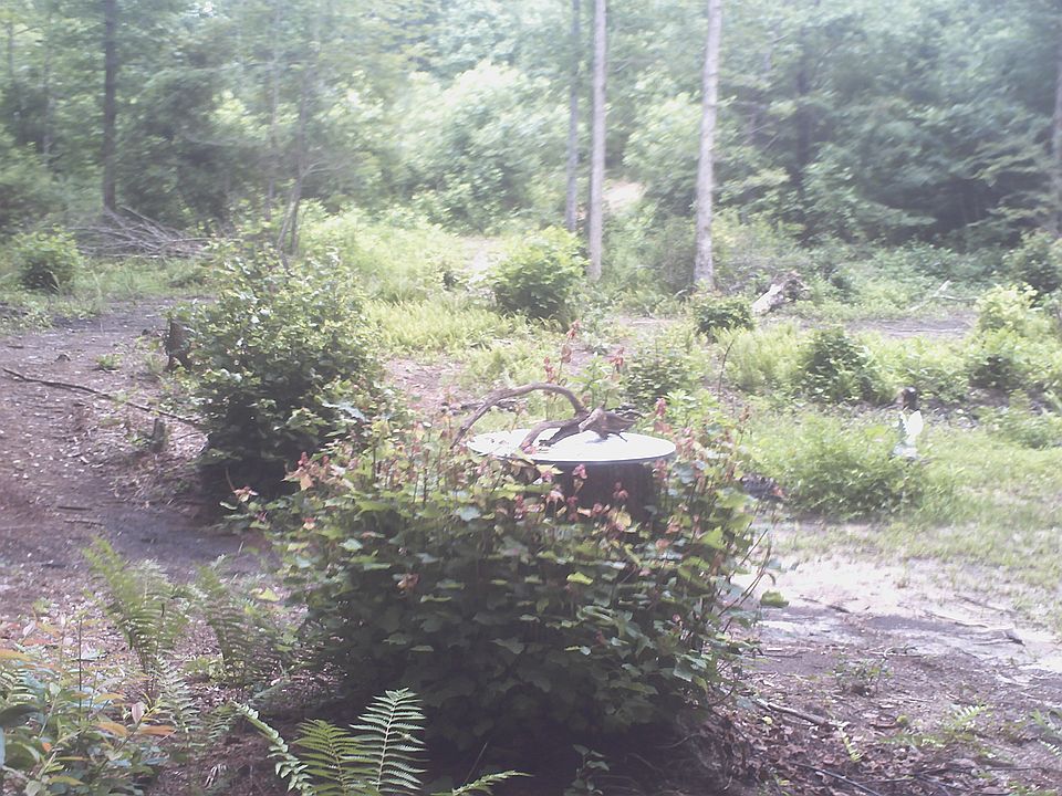 creek area