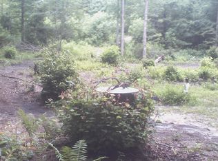 383 Gid Collins Rd, Ararat, VA 24053