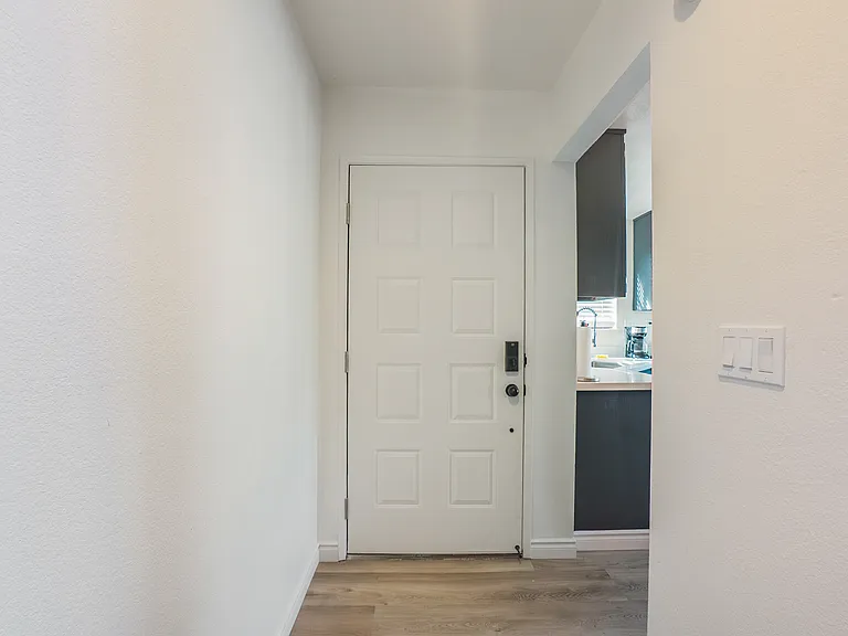 Azores Cir — Photo 28