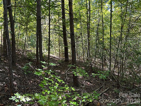 2nd image of 168 Robinwood Trl