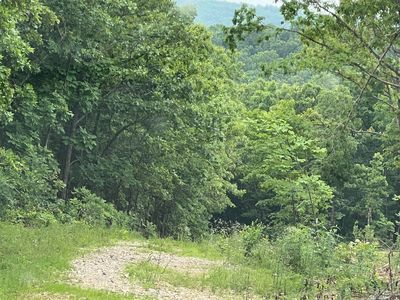 000 Pr Off Walnut Grove, Mammoth Spring, AR, 72554