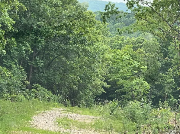 000 Pr Off Walnut Grove, Mammoth Spring, AR 72554