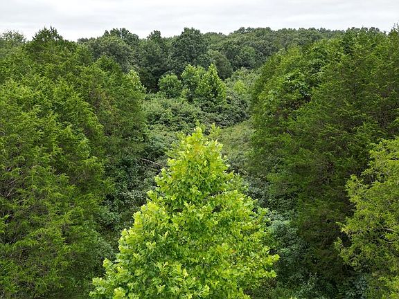 2nd image of 6135 Tall Cedars Rd